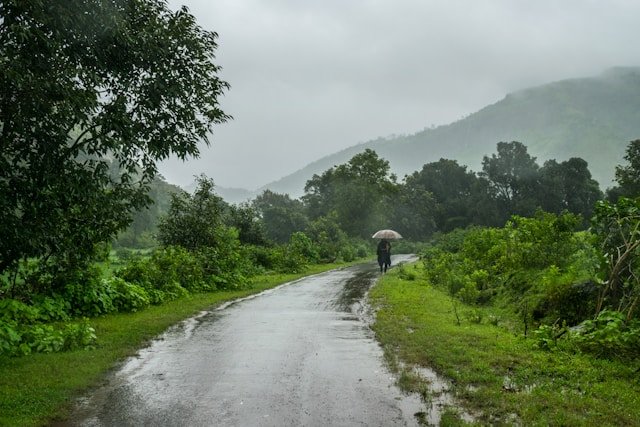 Why Monsoon Travel in India Is a Hidden Gem